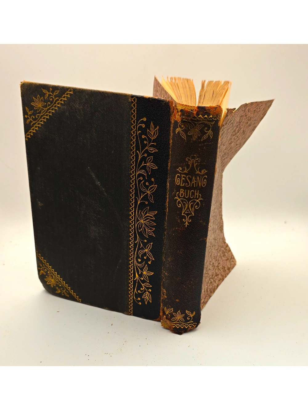 Gesangbuch der Evangelischen Kirche HC Illustrated German Hymnal Eden 1908